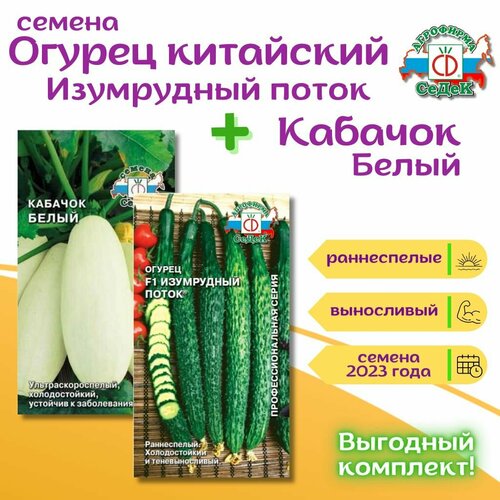 Огурцы китайские Изумрудный поток F1, 0,2 г + Кабачки Белые 2 г, семена огурцов и семена кабачков