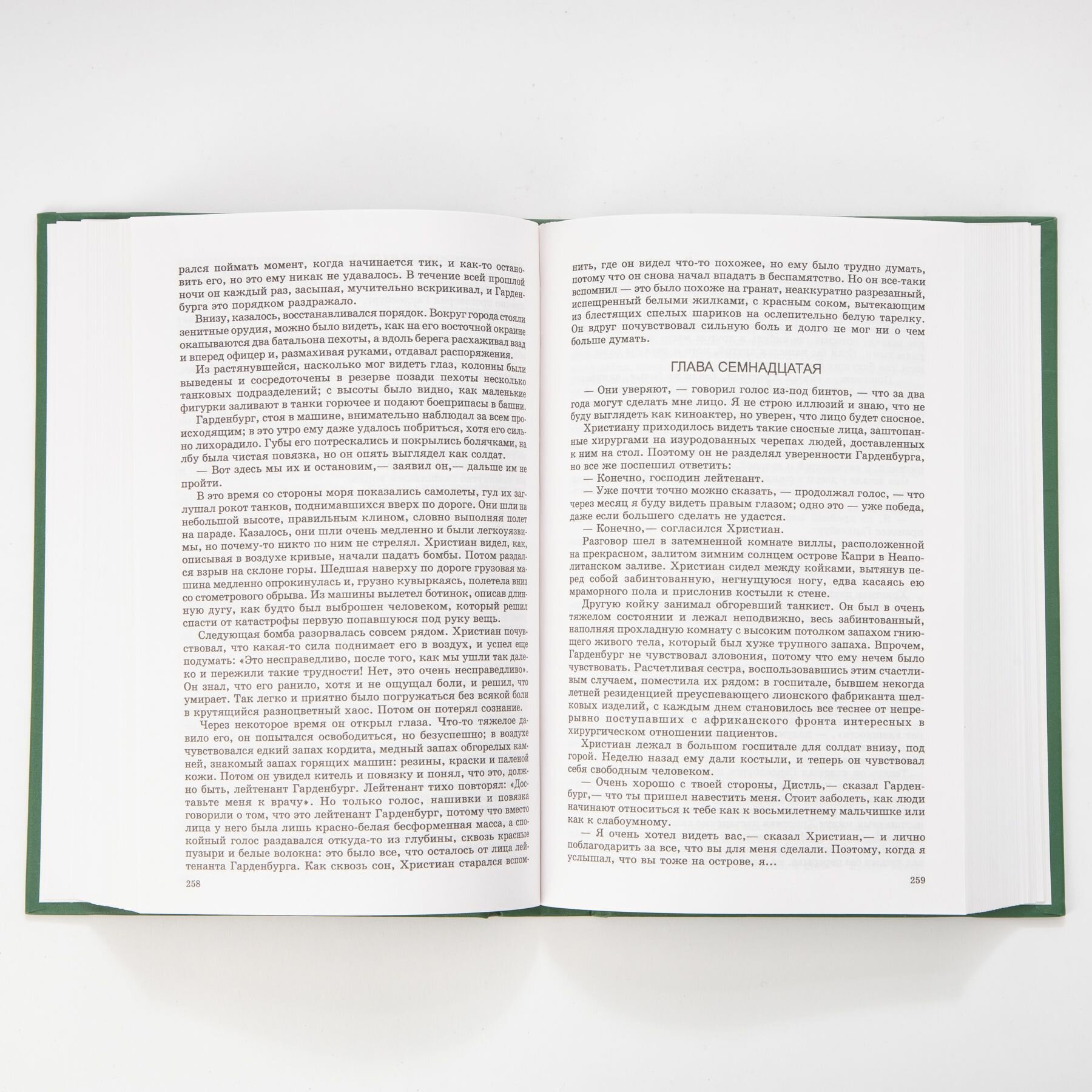 Молодые львы — фото 1