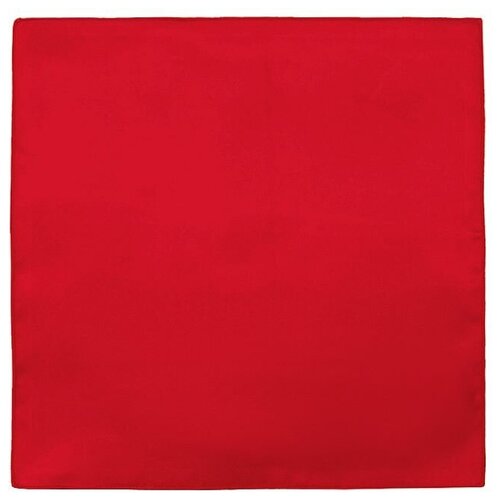 фото Карманный платок greg цвет красный