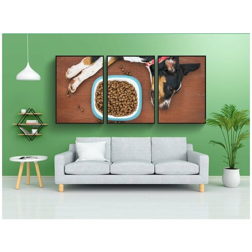 фото Набор модулных постеров для интерьера "собака, домашний питомец, еда" 60x90 см. в тубусе, без рамки lotsprints