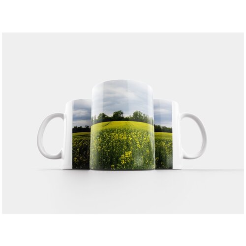 фото Кружка "цветы, тюльпаны, весна" 320 мл lotsprints