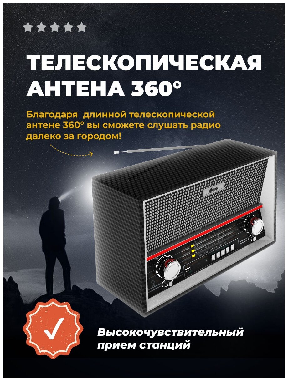 Радиоприемник Ritmix RPR-102 Black