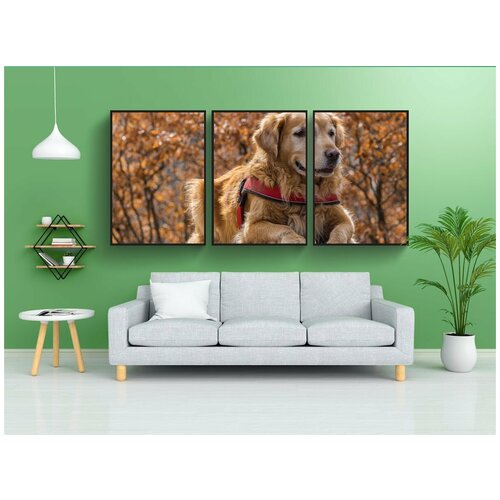 фото Набор модулных постеров для интерьера "природа, собака, милый" 60x90 см. в тубусе, без рамки lotsprints