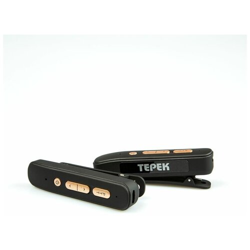 Рация РЕСТО2 X 2 510000₽