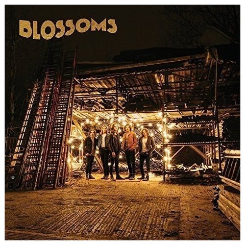 Blossoms - Blossoms. 1 CD cu059 цветет цикорий chicory blossoms