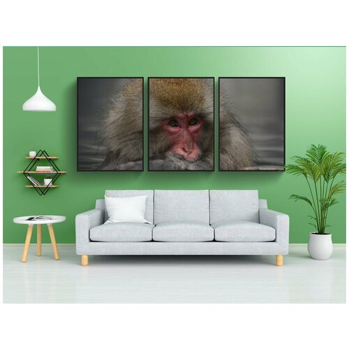 фото Набор модулных постеров для интерьера "животное, обезьяна, детские японские макаки едят листья" 60x90 см. в тубусе, без рамки lotsprints