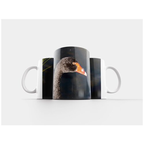 фото Кружка "лебедь, черный лебедь, птица" 320 мл lotsprints