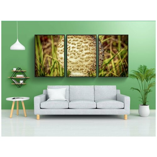 фото Набор модулных постеров для интерьера "гигантская schirmling, гриб, гигантский экран гриб" 60x90 см. в тубусе, без рамки lotsprints