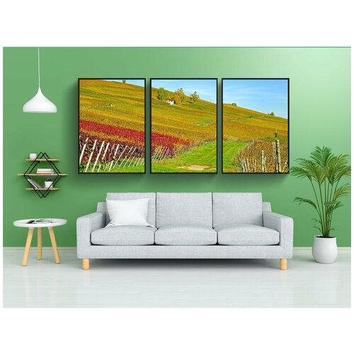 фото Набор модулных постеров для интерьера "виноградник, лозы, виноградарство" 60x90 см. в тубусе, без рамки lotsprints