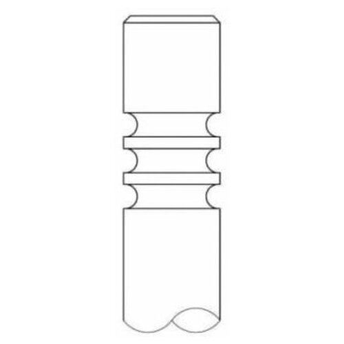 Выпускной клапан INTERVALVES 3110.036