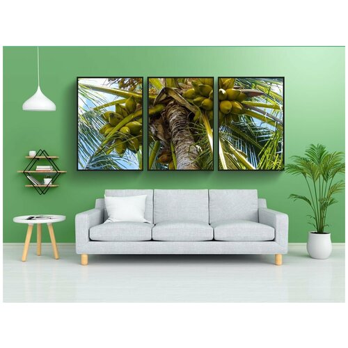 фото Набор модулных постеров для интерьера "кокос, ладонь, дерево" 60x90 см. в тубусе, без рамки lotsprints