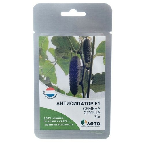 Cемена огурца 