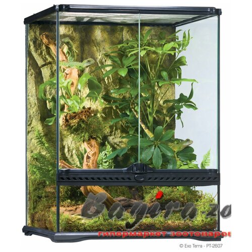 Террариум EXO TERRA(HAGEN) EXO TERRA Natural Terrarium Small из силикатного стекла (45х45х60см) PT2607