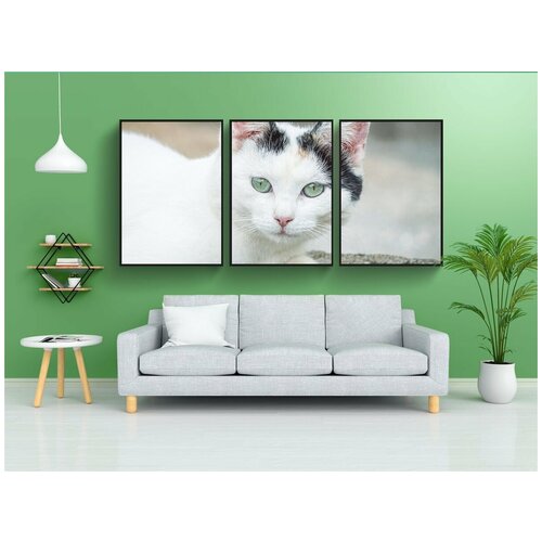 фото Набор модулных постеров для интерьера "кот, глаза, домашнее животное" 60x90 см. в тубусе, без рамки lotsprints