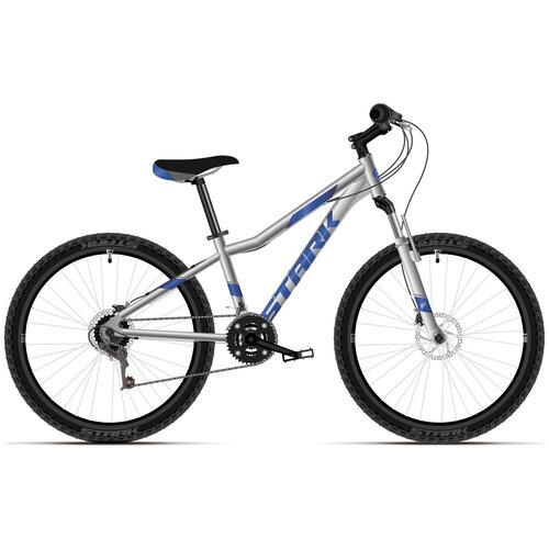 Велосипед Stark Rocket 242 D 2021 2458000₽