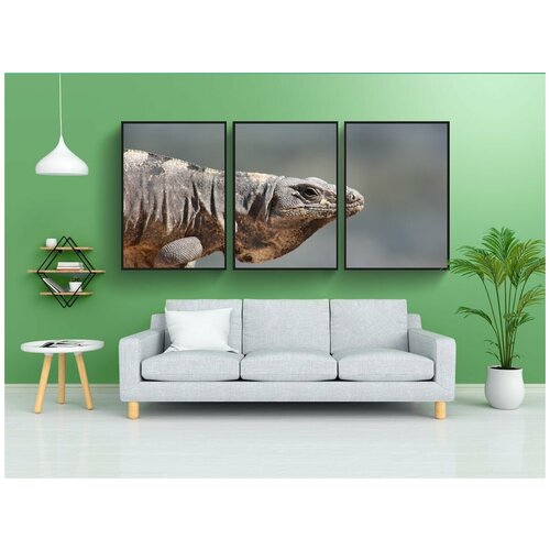 фото Набор модулных постеров для интерьера "ящерица, канкун, игуана" 60x90 см. в тубусе, без рамки lotsprints