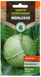 Семена Капуста белокочанная "Июньская" ранняя, 0,5 г