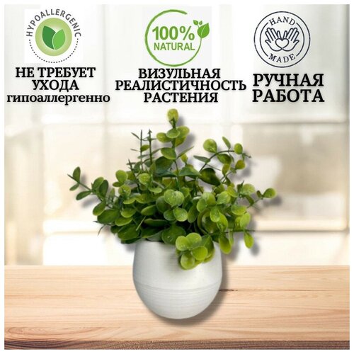 Композиция с искусственным эвкалиптом