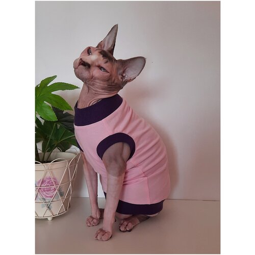 Футболка для кошек, размер 40 (длина спины 40см), цвет розовый / майка футболка для кошек сфинкс /одежда для животных / одежда для кошек сфинкс