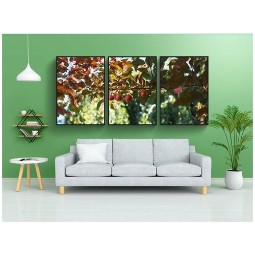 фото Набор модулных постеров для интерьера "зибарте, дикая слива, сливы" 60x90 см. в тубусе, без рамки lotsprints