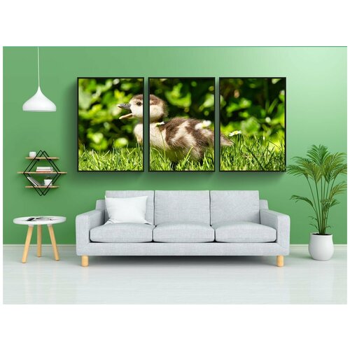 фото Набор модулных постеров для интерьера "утенок, трава, птица" 60x90 см. в тубусе, без рамки lotsprints