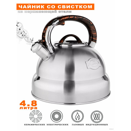 Чайник для плиты 4,8 л серебристый