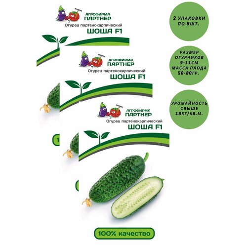 Семена огурцов: Шоша F1 / агрофирма партнер/ 3 упаковки по 5 штук.