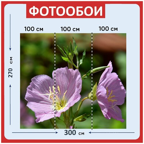 Фотообои Цветок первоцвет розовый 300x270 см флизелиновыена стену 3970₽