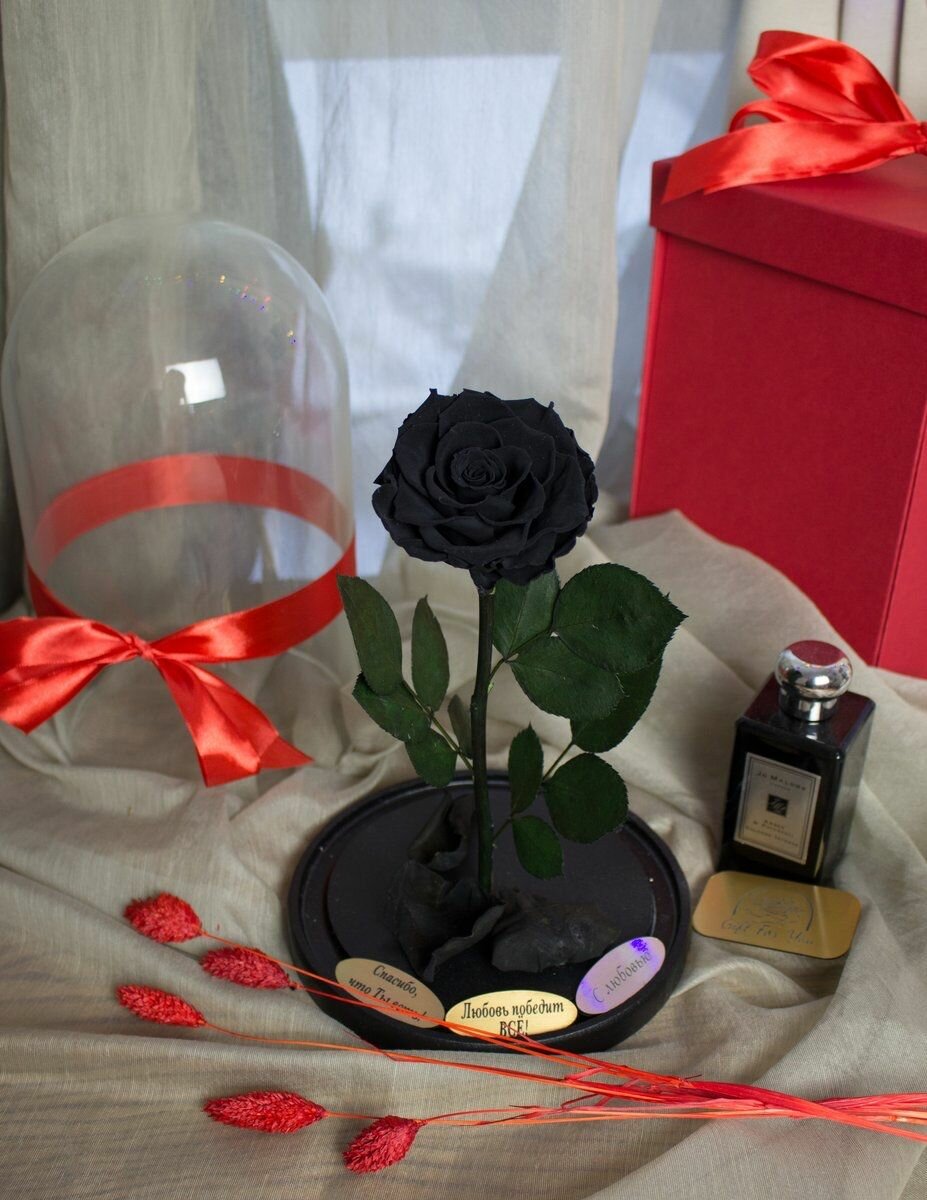 Стабилизированные цветы в стекле Роза в колбе живая Premium черная 27x165 см GIFT4YOU
