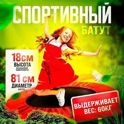 Батут спортивный TAKARA LN-2400-32 цвет красный диаметр 81 см 5047₽