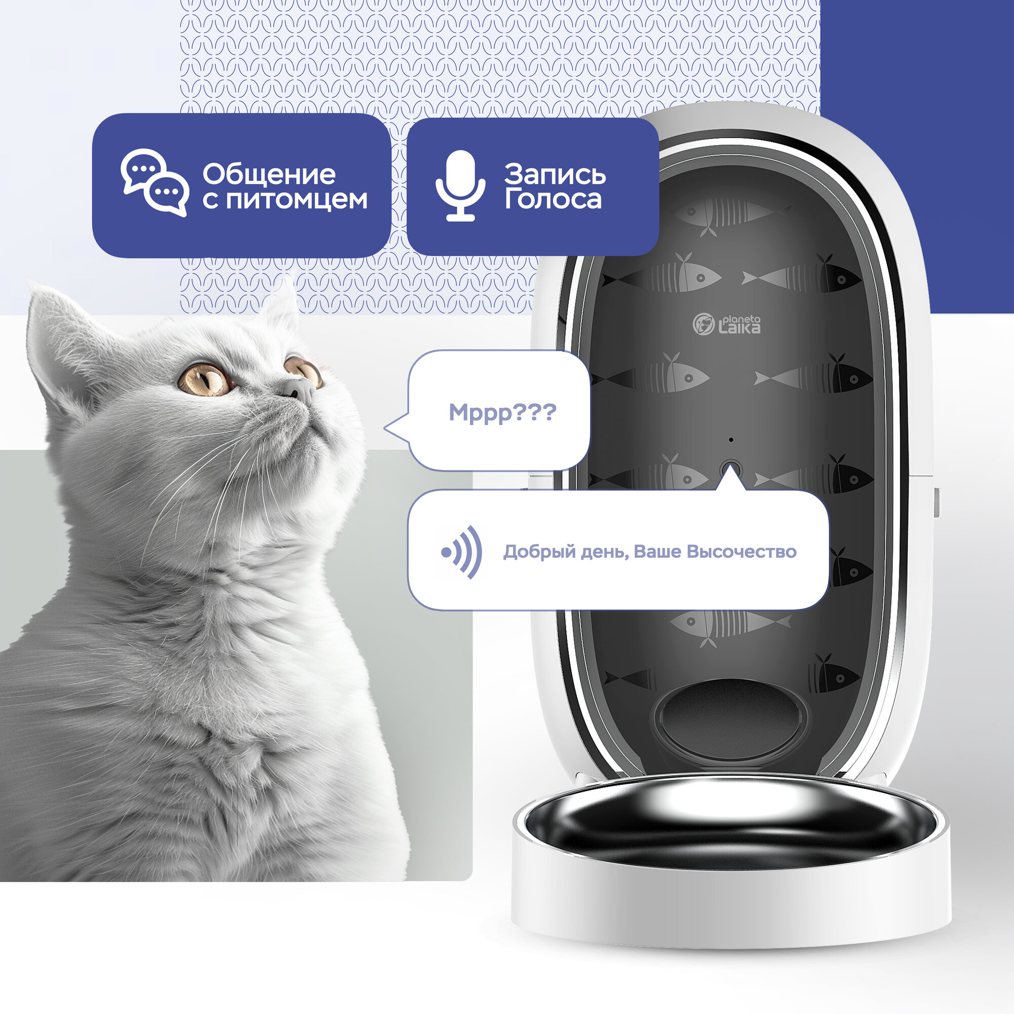 Изображение Автоматическая кормушка для кошек и собак Planeta Laika с камерой 2К, Wi-Fi