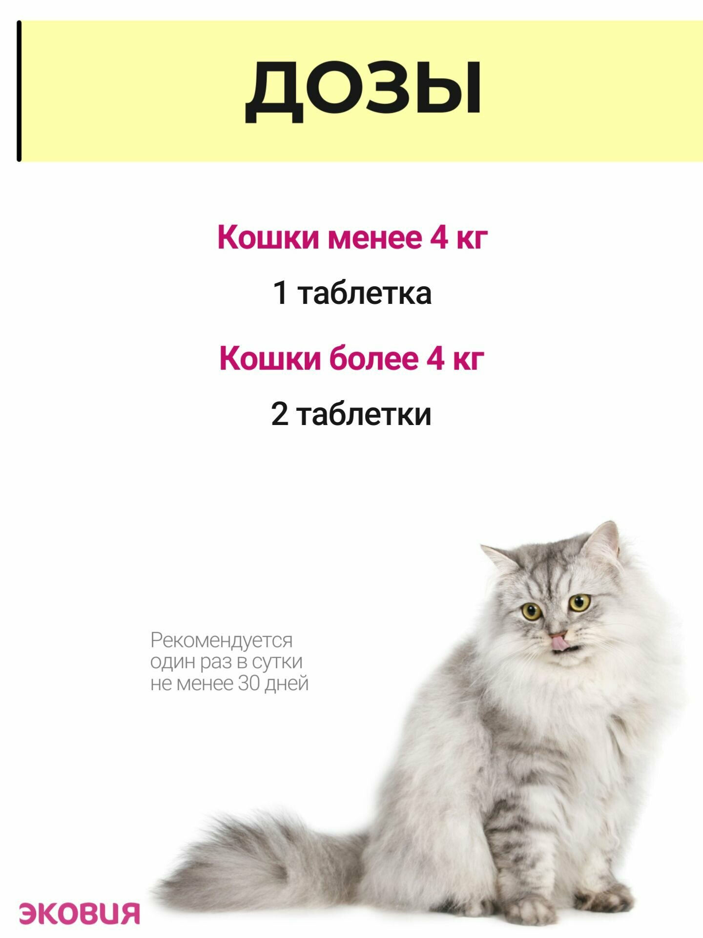 Изображение Комплекс витаминов для беременных и кормящих кошек 1 упаковка