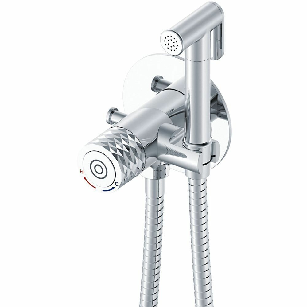 Гигиенический душ Rose R2PH25IQ хром