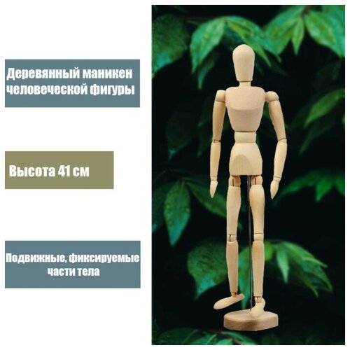 Деревянная модель - Человек 41 см./В упаковке шт: 1