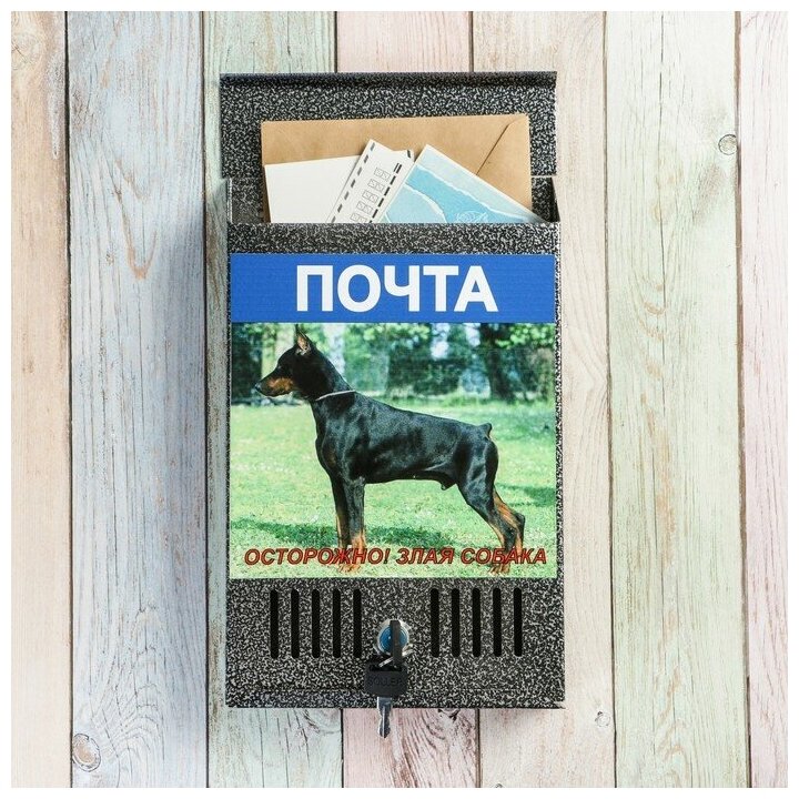 Ящик почтовый с замком, вертикальный, серебристый, картинка микс - фотография № 1