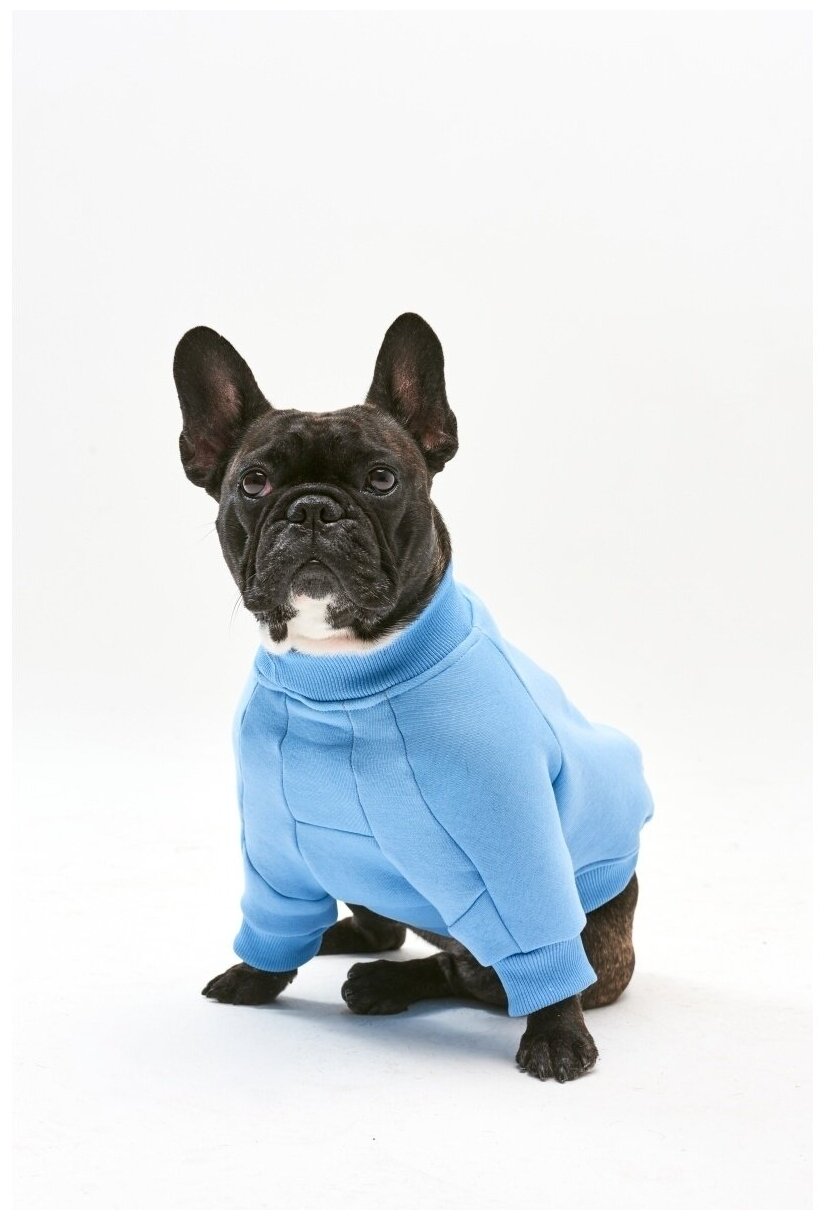 WOOFLER /Свитшот для французского бульдога, бультерьера и амстаффа, толстовка из футера, одежда для собак, цвет голубой, размер S32 - фотография № 1