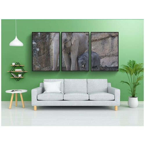 фото Набор модулных постеров для интерьера "слон, молодой слон, слоненок" 60x90 см. в тубусе, без рамки lotsprints