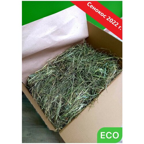 Сено луговое корм для грызунов, кроликов, шиншилл, морских свинок, грызунов, разнотравье, Borokot, вес 2100 гр.