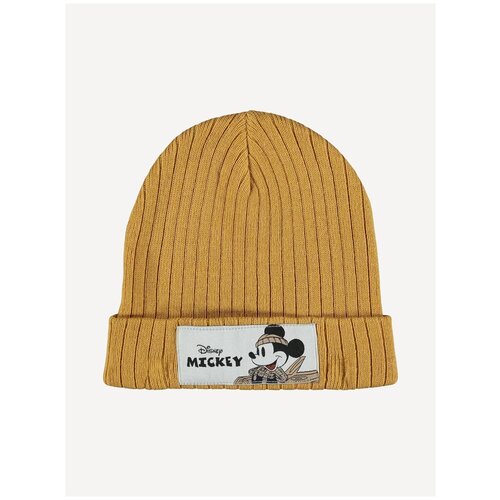 фото Name it, шапка для мальчика, цвет: золотой, размер: 46/47