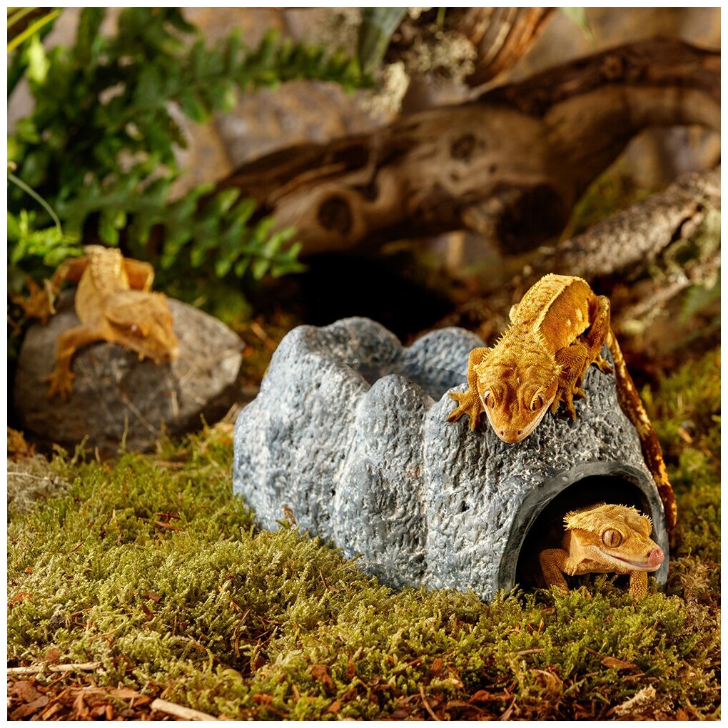 Влажная пещера Hagen ExoTerra Wet Rock Ceramic Cave Large, 20×12×9 см - фотография № 3