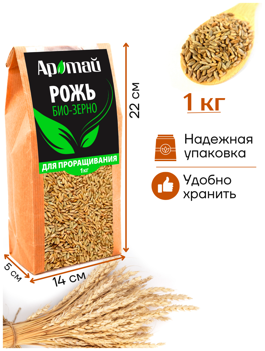 Рожь, био зерно, микрозелень, для проращивания, диетические продукты питания, бакалея, крупа, аратай, 1 кг - фотография № 4