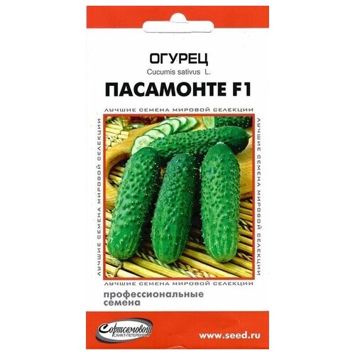 Огурец Пасамонте F1, 6 семян