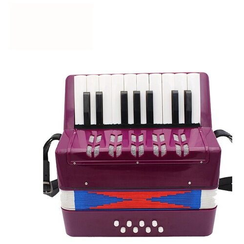 Детский музыкальный инструмент Future Star FF-17K/PL аккордеон детский, фиолетовый