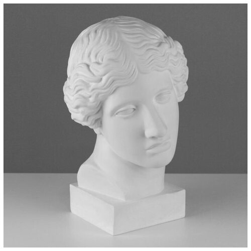 Гипсовая фигура голова Амазонки, 22 х 25 х 38 см./В упаковке шт: 1