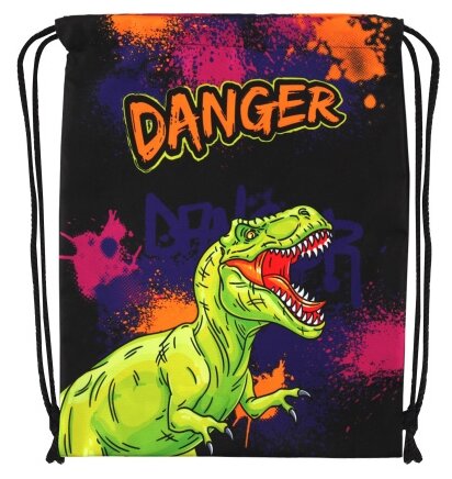 КОКОС Мешок для обуви Danger Dino, 214539, черный