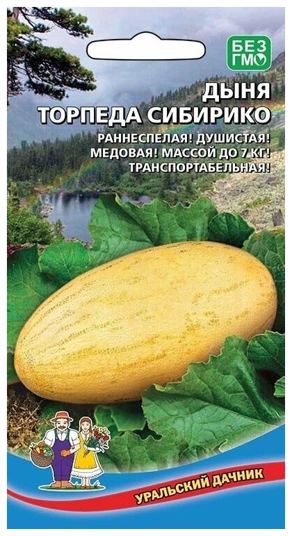Дыня Торпеда Сибирико 10 семечек, Уральский дачник