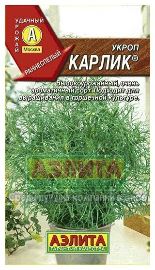 Семена. Укроп "Карлик" (вес: 3 г)