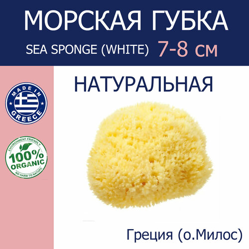 Губка морская натуральная Milos, детская, HONEYCOMB, 7-8 см Греция (о. Милос)