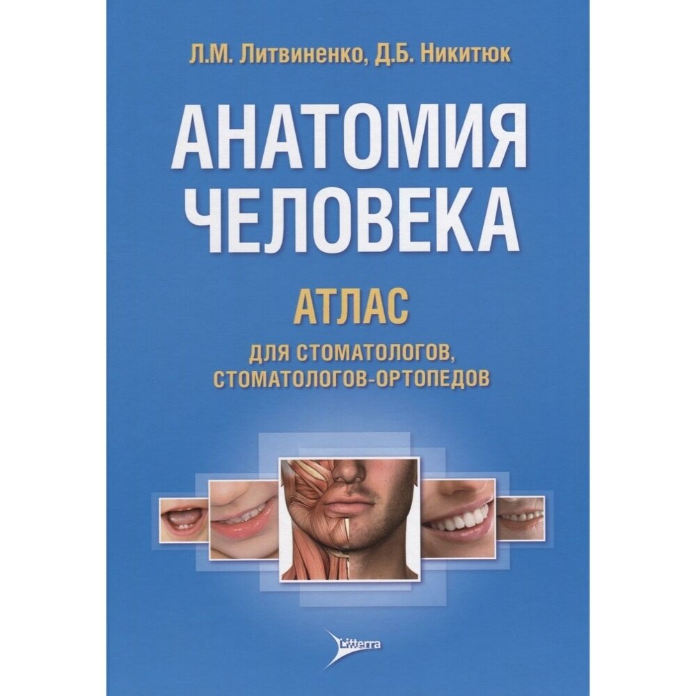 Анатомия человека. Атлас для стоматологов, стоматологов-ортопедов - фото №4