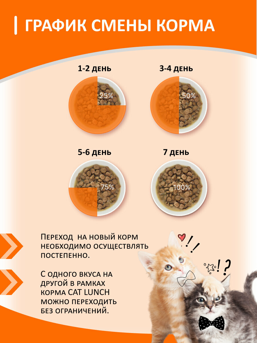 Влажный корм для кошек Cat Lunch кусочки в желе Говядина и Печень, пауч 85гх24шт - фотография № 9